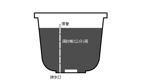 4.gif