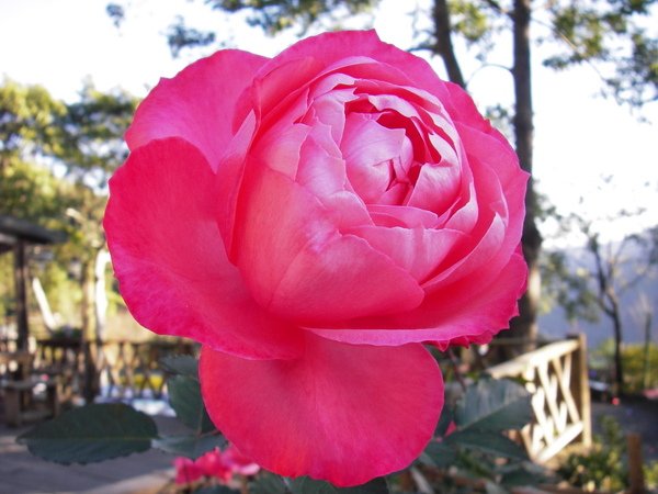 IMGP0107.JPG