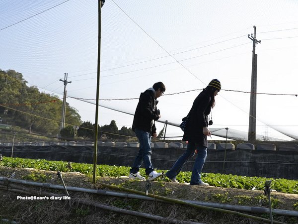 順路來草莓園16.jpg
