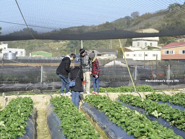 順路來草莓園18.jpg
