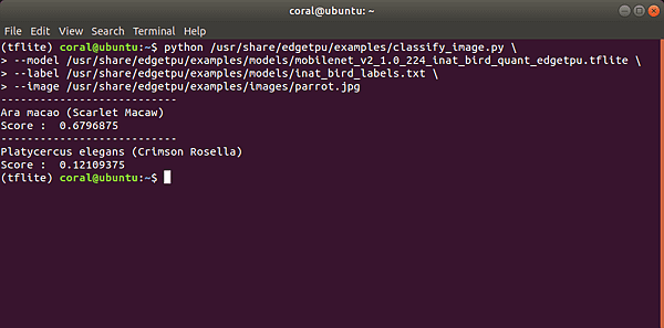 run_classify_image_edgetpu.png