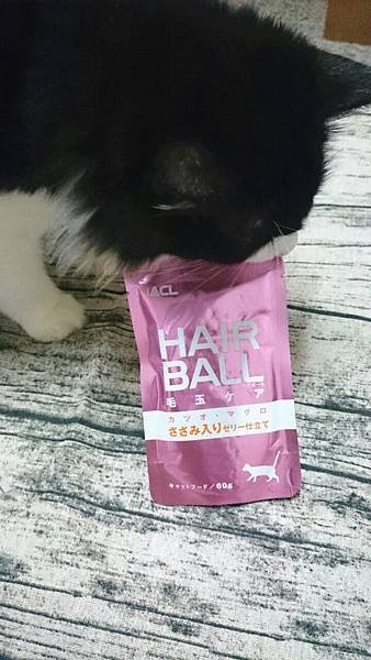 HAIRBALL4.jpg