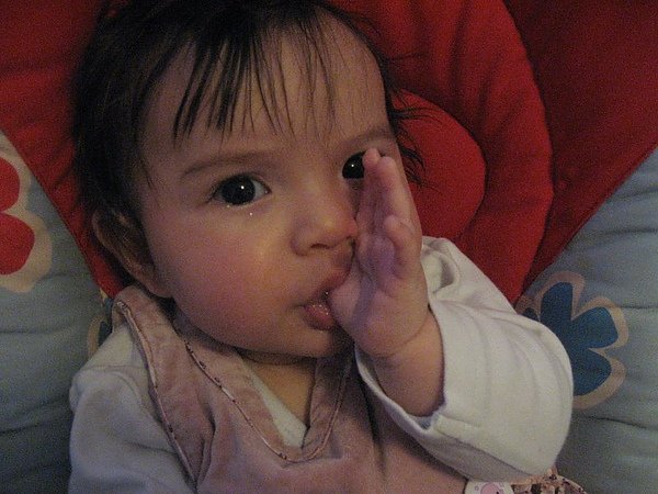 IMG_7034.jpg