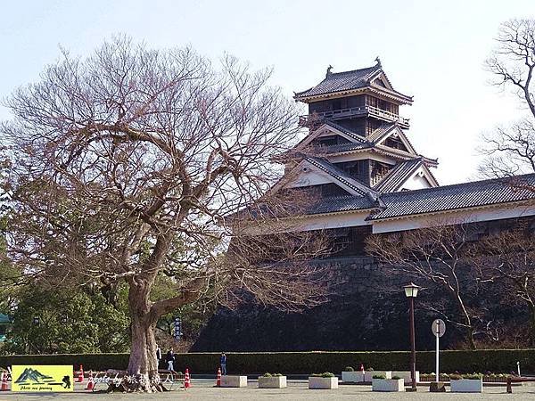 DSC06605熊本城.jpg