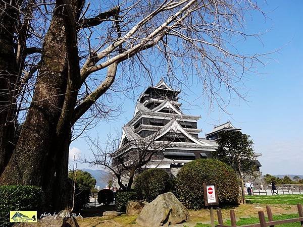 DSC06629熊本城.jpg