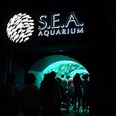 S.E.A海洋館