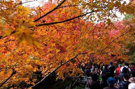 東福寺