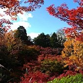 東福寺