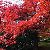 東福寺