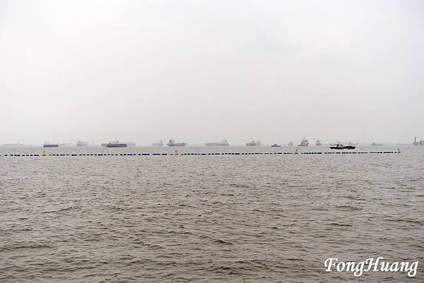 DSC01683.jpg