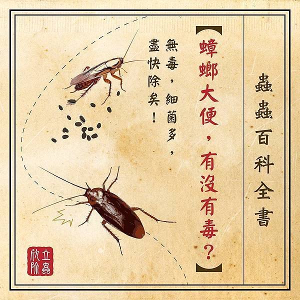 蟑螂大便有沒有毒.jpg