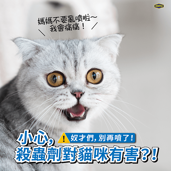 【 ⚠別再噴殺蟲劑，小心傷了貓咪健康😿 】.png