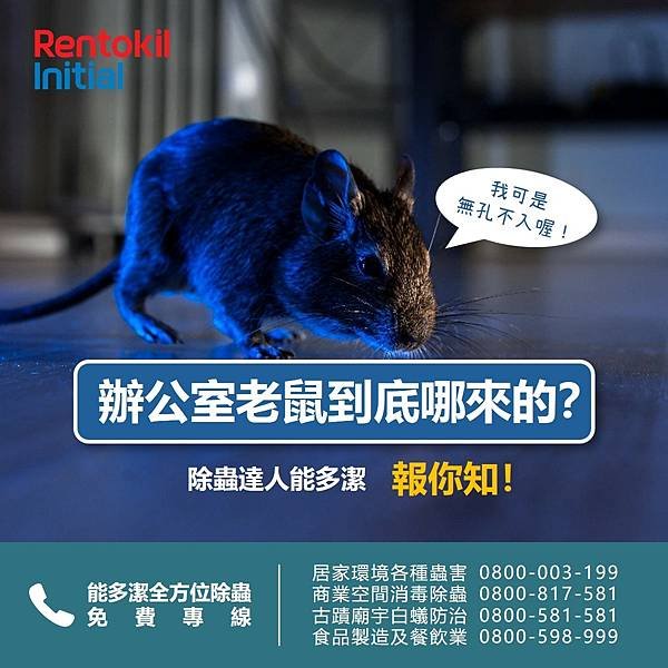 0425 辦公室老鼠.jpg