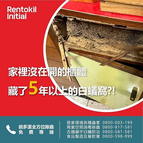 0428 白蟻.jpg