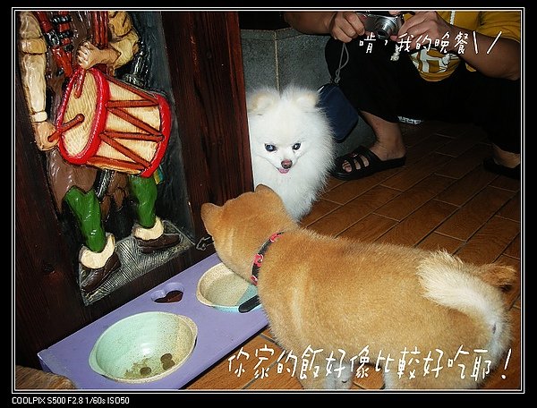饅頭1.JPG