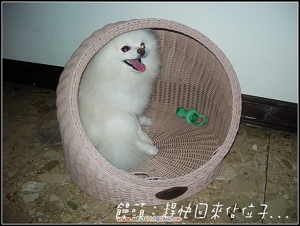 饅頭4.JPG