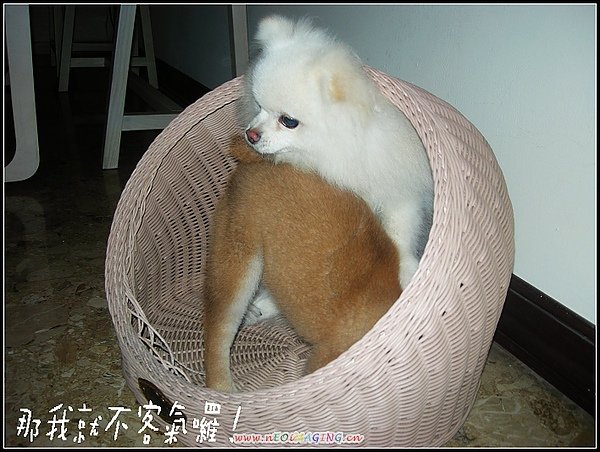 饅頭6.JPG
