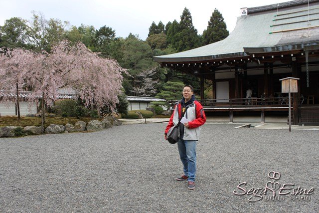 苔寺03