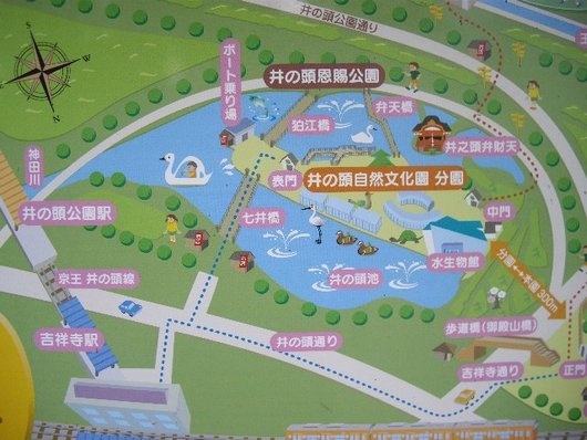 【花見】井之頭公園