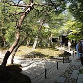 84.jpg