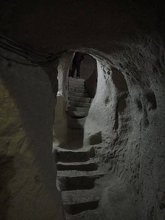 146.jpg