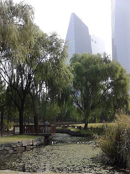Photo111006_018.jpg