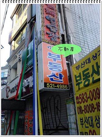ap_F23_20110107030409776.jpg