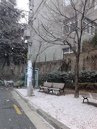 釜山大學雪景