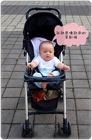 金凱瑞