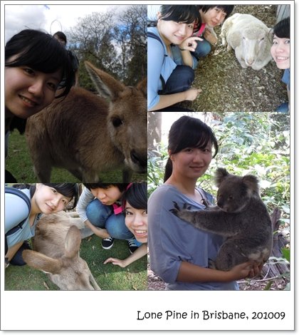 lone pine.jpg