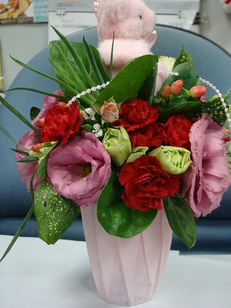 DSC01842.JPG