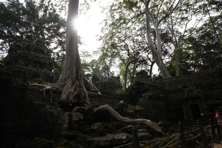 DSC01074