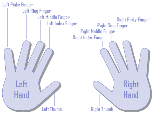handsformanual