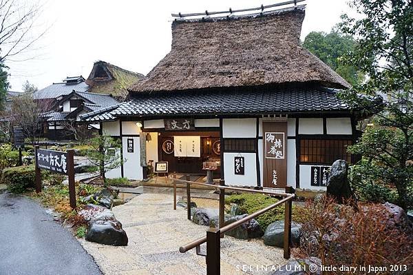 2477 DSC06486 湯國之森手工藝村.JPG