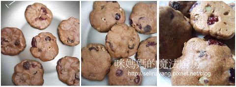 蔓越莓葡萄餅乾-P2.jpg