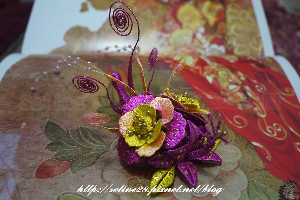 PhotoCap_004