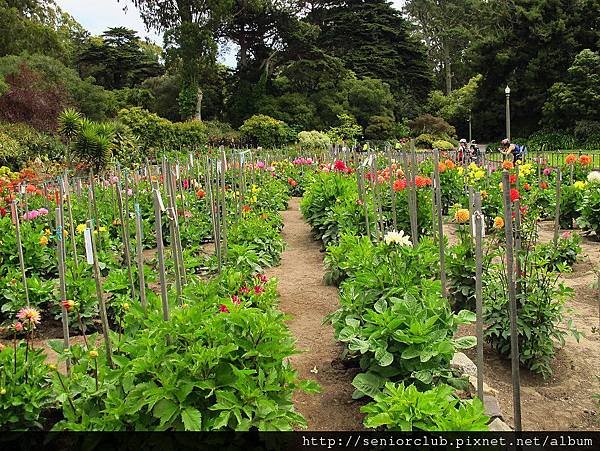 2012 USA SF Garden (155)_調整大小