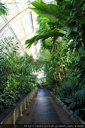 2013 April Kew Garden Palm house (21)_調整大小