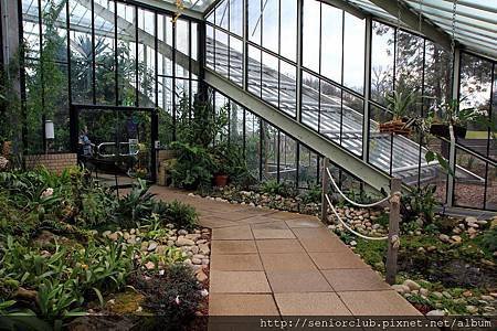 2013 April Kew Garden Princess of wales Conservatory (10)_調整大小