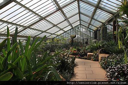 2013 April Kew Garden Princess of wales Conservatory (167)_調整大小