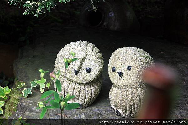 2011 梅峰溫室花園_26_調整大小.JPG