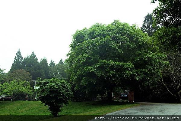 2011_梅峰遊_園區森林_10_調整大小.jpg