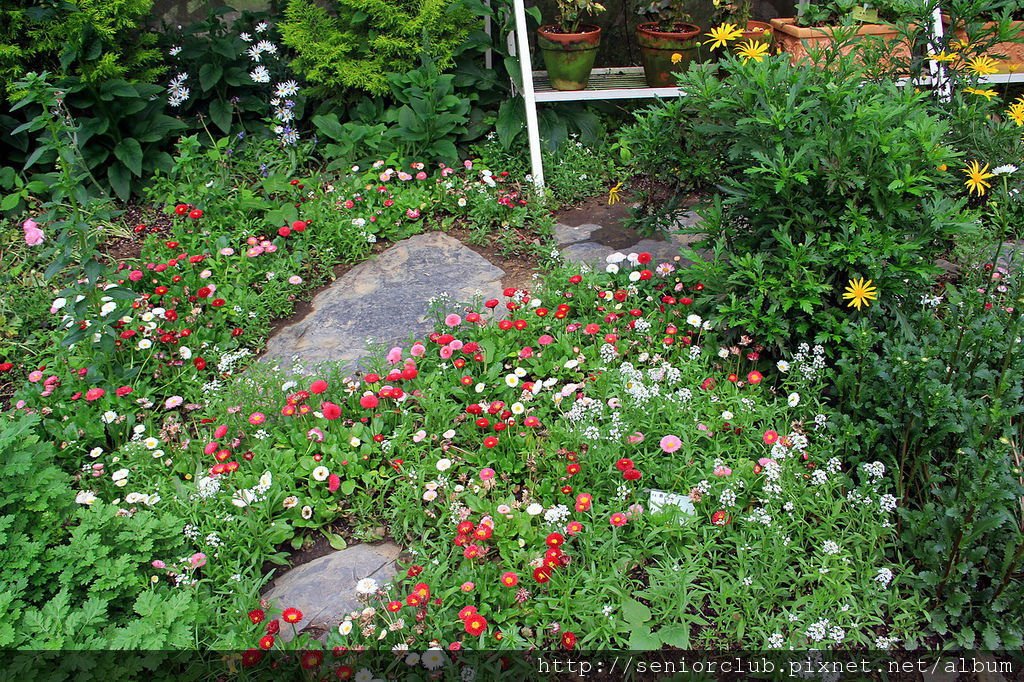 2011 梅峰溫室花園_22_調整大小.JPG