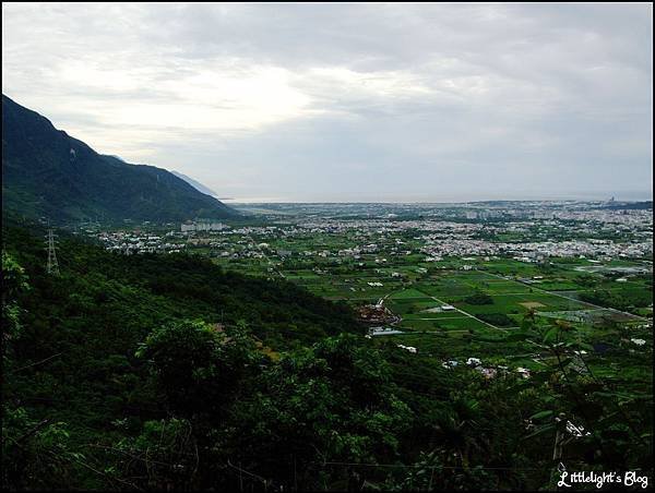 楓林步道- (2).JPG