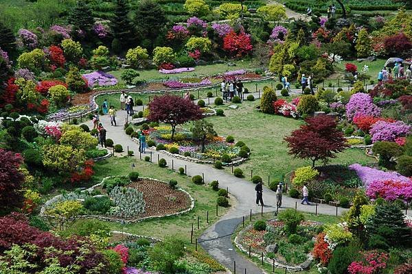 園晨靜樹木園1.jpg