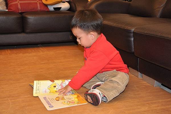 1Y6M-3.jpg