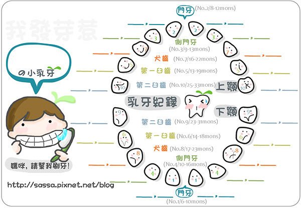 teeth map.jpg