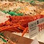 IMG_6240.JPG
