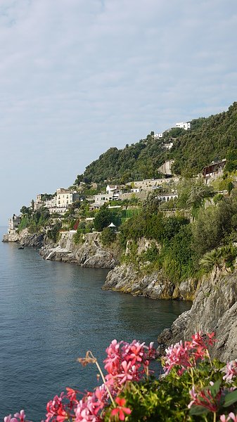 P1110203.JPG
