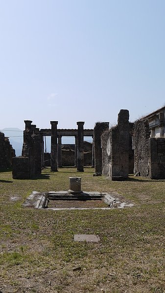 P1110019.JPG